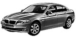 BMW F10 P0A2E Fault Code